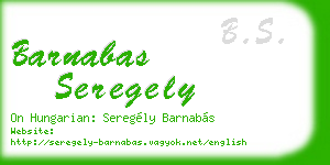 barnabas seregely business card