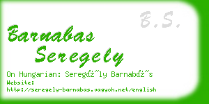 barnabas seregely business card